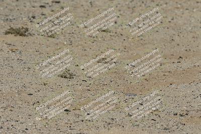 media/Feb-06-2025-Racers Edge (Thu) [[c17ed6f7b1]]/1-A Group/Session 3 (Turn 6 Inside Speed Pans)/